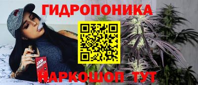 a pvp Можга