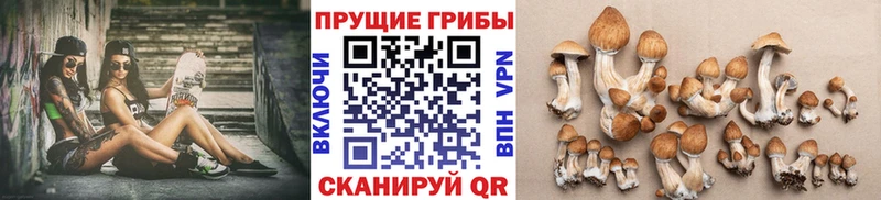 Псилоцибиновые грибы ЛСД  МЕГА ССЫЛКА  Шали 