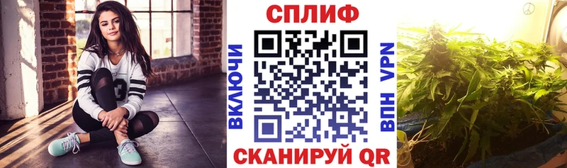 Каннабис сатива  Шали 